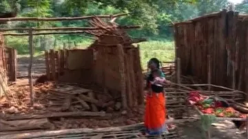 Families Attacked Over Govt Land Dispute In Odisha