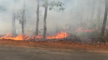Wildfire Rages In Similipal: Voices Grow Louder For Central, State Govt Intervention