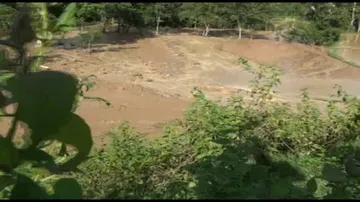 Breach in Kanajhari canal destroys paddy crop