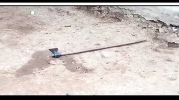 Woman kills co-wife, self over family dispute