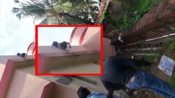 Mother monkey refuses to leave baby in danger