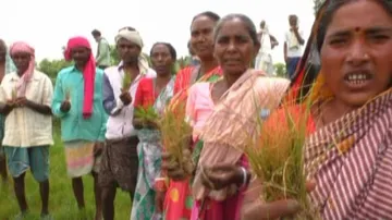 Deficit rainfall in July affects agriculture in Odisha