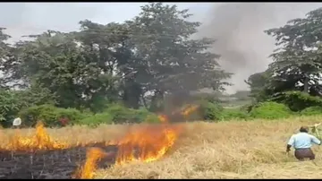 After torching crops, farmer ends life in Bargarh