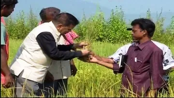 'Pest-free’ variety offers hope amid Odisha agri crisis