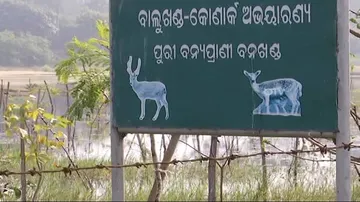 Pollution threat looms large over Puri Balukhand sanctuary