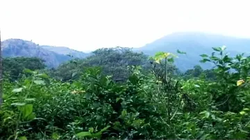 Project hurdle: Forest and Environment dept to create land bank