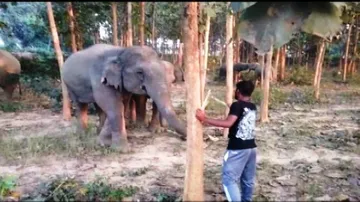 Selfie obsession: Awareness to prevent humans trespass into animal territory
