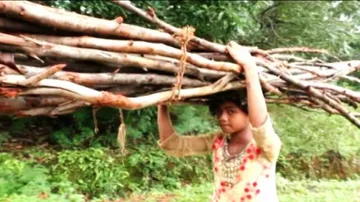 Has Girl education lost its way in Odisha?