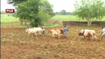 ‘Krushak Odisha’ Database: Opposition Accuses Odisha Govt Of Doing Politics On Farmers
