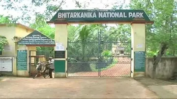 Croc nesting: Bhitarkanika National Park to be closed from May 1