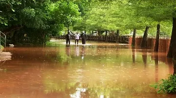 Safari & boating services discontinued as Nandankanan Zoo battles waterlogging