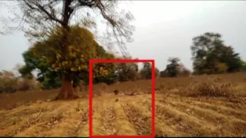 Leopard scare in Khaprakhol block