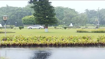 Odisha records 37 percent less rainfall; monsoon revival soon