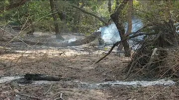 Fire destroys acres of Casuarina plantations on Puri-Konark marine drive
