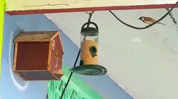 Sparrows get ‘man-made houses’ in Ganjam