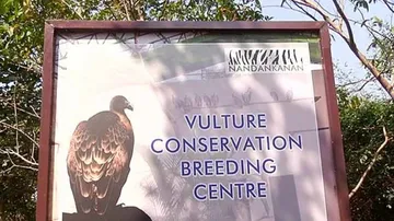 Vulture conservation & breeding centre opens at Nandankanan