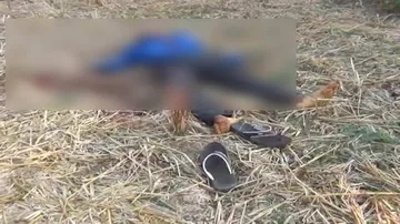 Ward member poll candidate found dead with throat slit