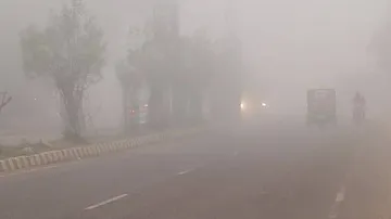 Winter Update: Night Temperature Rises But Dense Fog Severely Affects Normalcy In Odisha