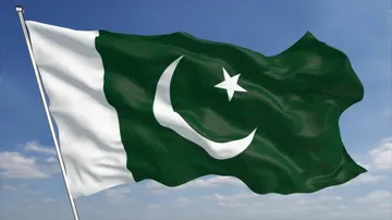 Pakistan put on 'grey list' by Financial Action Task Force