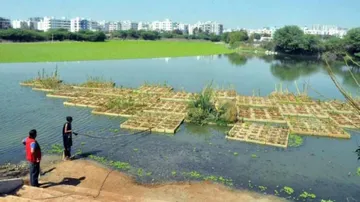 Op-Ed: Smaller Wetlands, Too, Need Attention