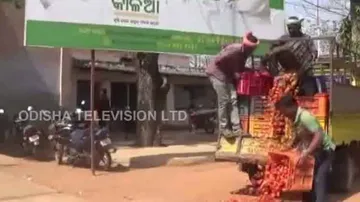 Odisha farmers dump tomatoes on road protesting distress sale