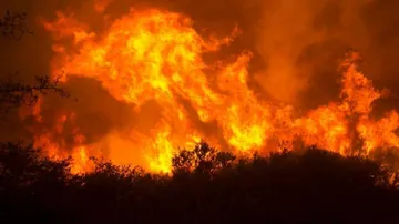 Deadly wildfire sweeps through California's wine region