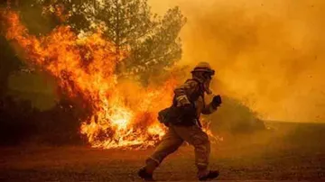 California wildfires toll hit 80, over 990 missing