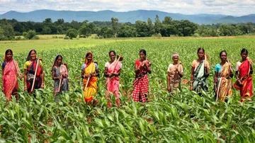 Smartphones to smarten up women farmers in Odisha 