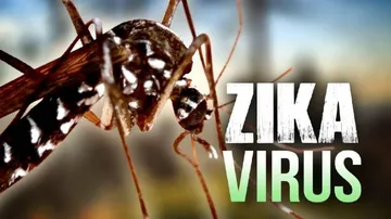 New paper-based test can diagnose Zika in 20 minutes
