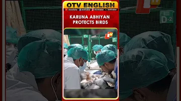 Forest Department Launches Karuna Abhiyan To Protect Birds In Surat