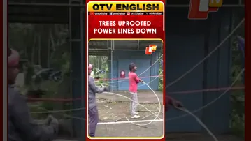 Cyclone Montha Wreaks Havoc: Trees Uprooted, Power Lines Damaged In Andhra