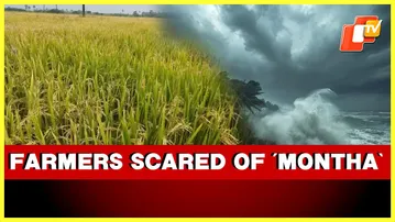 Odisha Farmers Fear Cyclone ‘Montha’ Could Wipe Out Months Of Hard Work