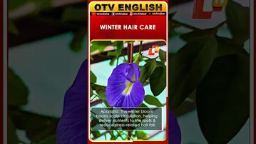 5 Winter Ayurvedic Flowers That Support Healthy Hair Growth