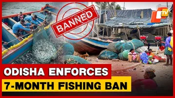 Fishing Banned Along Odisha Coast Till May 31 For Olive Ridley Turtle Nesting
