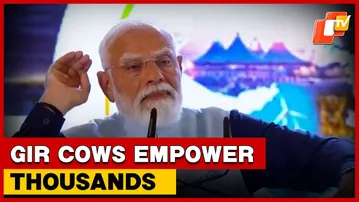PM Modi Highlights Gujarat Investment & Rwanda Gir Cow Impact | OTV