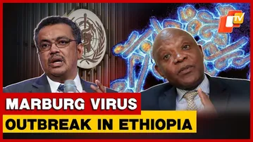 Ethiopia Confirms First Marburg Outbreak As WHO Ramps Up Emergency Response