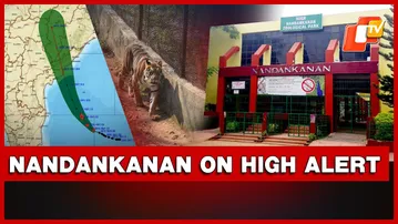 Cyclone Montha: Nandankanan Zoological Park Activates Emergency Protocols To Safeguard Animals Ahead