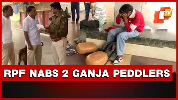 RPF Sniffer Dog Foils Ganja Smuggling Attempt To Haryana At Bhubaneswar Railway Station | Odisha
