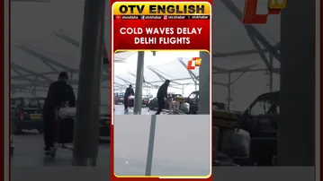 Cold Waves And Fog Delay Flights At IGI Airport Delhi