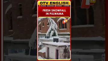 Fresh Snowfall Blankets Pulwama In Jammu & Kashmir