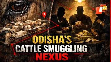 Odisha’s Cattle Smuggling Nexus: Gold, Cash & the Cruel Trade Exposed