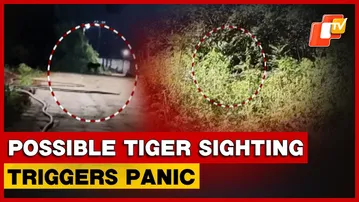Possible Tiger Sighting Sparks Panic In Sunabeda, Trap Cameras Installed | Odisha