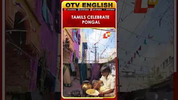 Tamils In Hubballi Celebrate Traditional Pongal Festival With Pomp