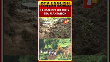 Landslides, Rain Devastate Mirik; 50,000 Tea Bushes Lost Across 20 Hectares