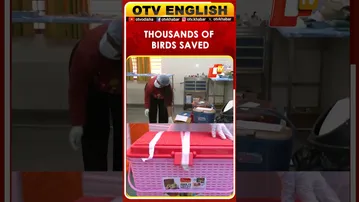 Karuna Abhiyan Saves Thousands Of Injured Birds In Gujarat