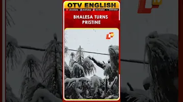 Heavy Snowfall Turns Doda's Bhalesa Pristine In J&K