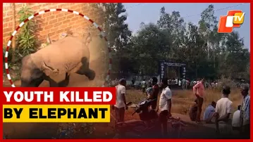 Youth Killed In Elephant Attack In Khordha Village