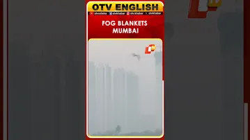 Fog Blankets Mumbai In Maharashtra, Visuals From Wadala