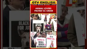Lucknow, UP: Animal Lovers Protest Supreme Court Order On Stray Dogs