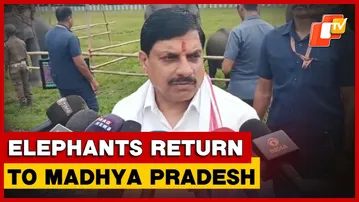 MP To Collaborate With Assam For Wildlife Conservation, Learn From Kaziranga